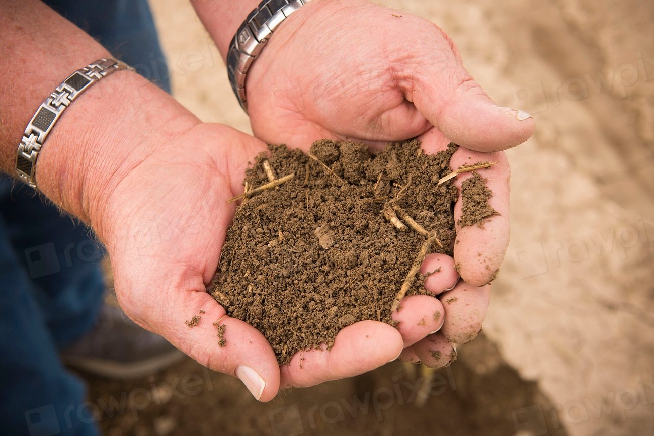 Een composthoop in een kleine tuin: werkt dat?